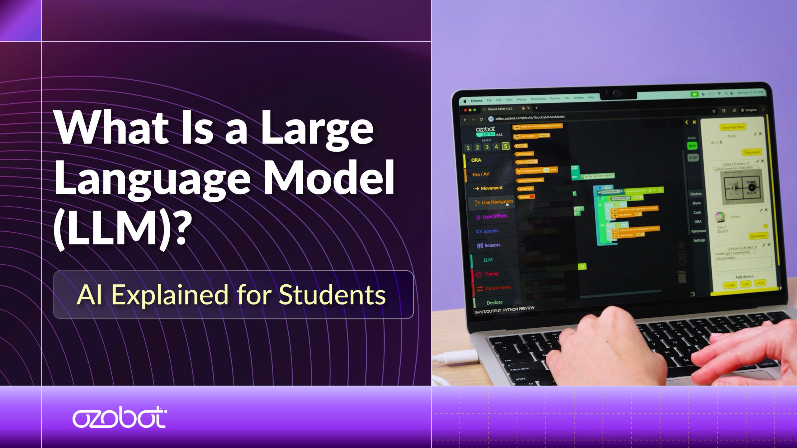 What is an LLM