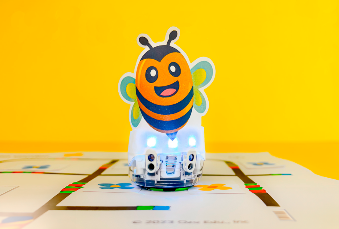 August Lesson Spotlight