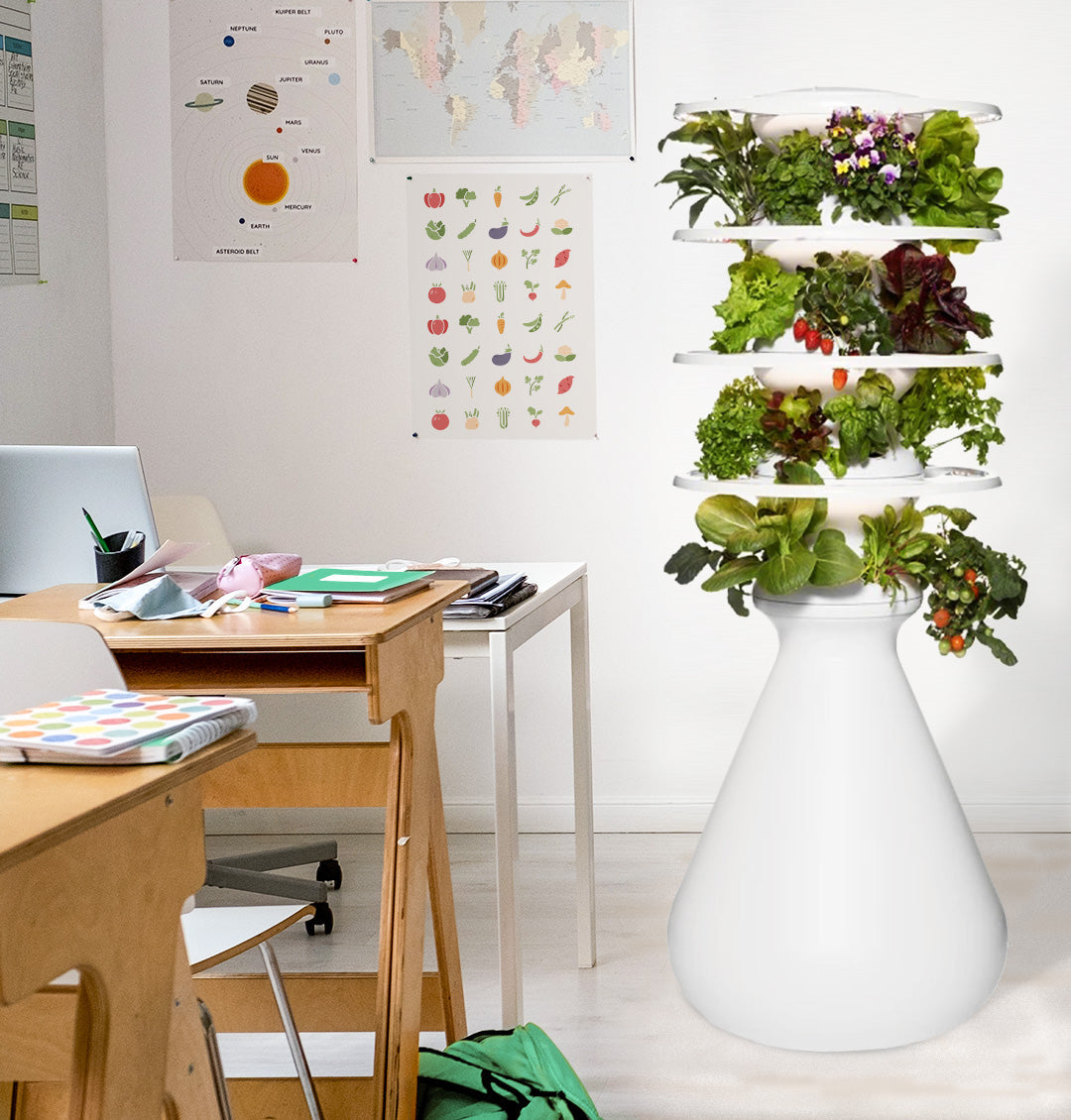Lettuce Grow x Ozobot Year-Round Growing with 100 Seedlings - shop for classrooms and families