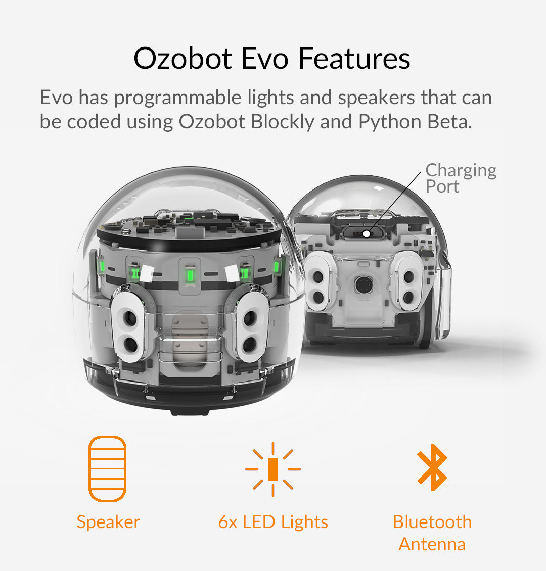 Evo Entry Kit: STEAM Kits for Beginners – Ozobot