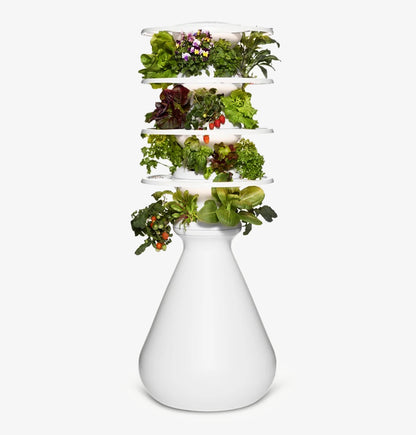 Lettuce Grow and Ozobot Starter Pack with 24 Hydroponic Seedlings for the classroom