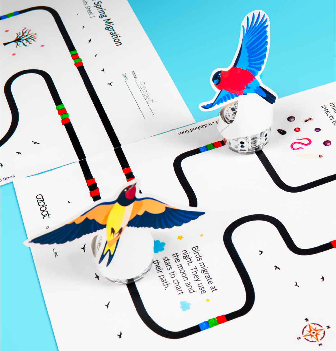 Evo Classroom Kit - 12 Bots
