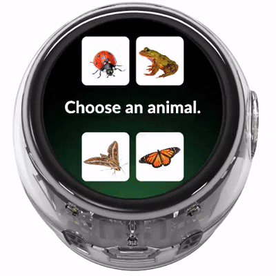 Ozobot Ari coding robot Animal Life Cycle app