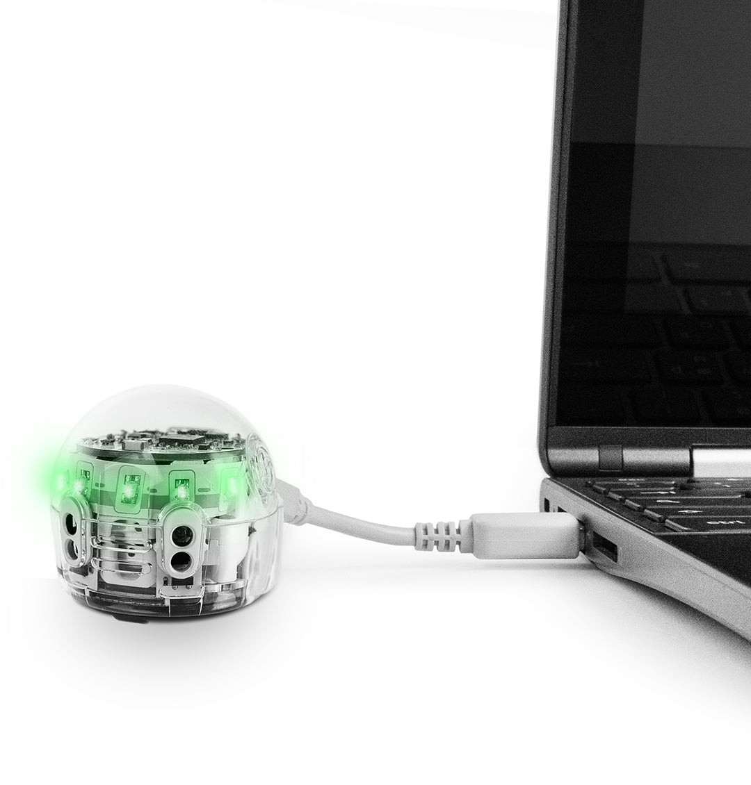Charging Cable 2 Pack